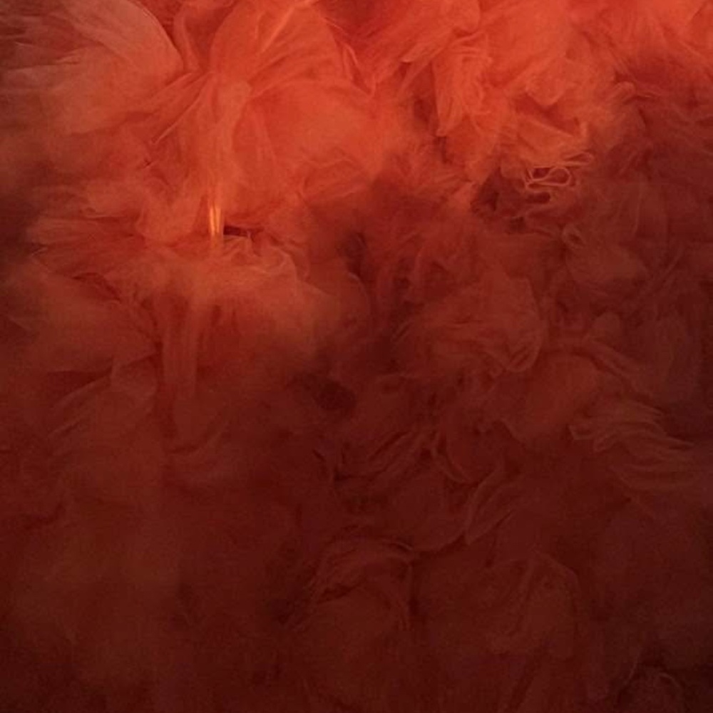 Orange and silver prom dress